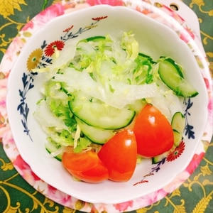 野菜色々サラダ